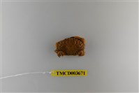 藏品(肉球皺蟹)的圖片